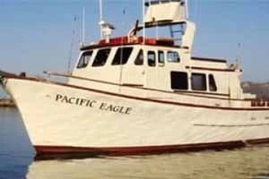 Pacific Eagle